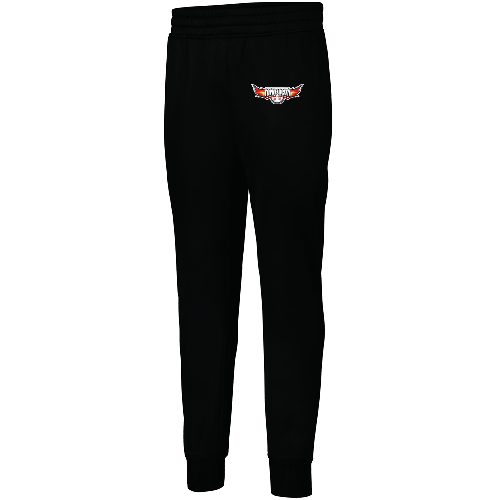 Men's PERFORMANCE FLEECE JOGGER
